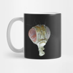 Head of Drosophila under the microscope Mug